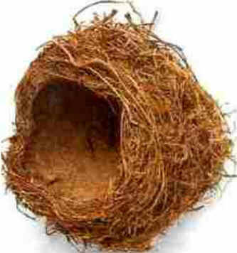 Ninho das Aves