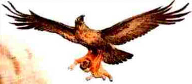 Pés das Aves