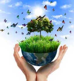 Proteção Ambiental Proteção Ambiental