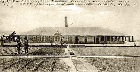 Revolta de Ibicaba