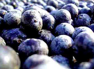 Açaí Açaí