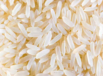 Arroz Arroz