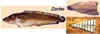 História do Bacalhau História do Bacalhau