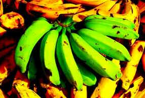 Banana