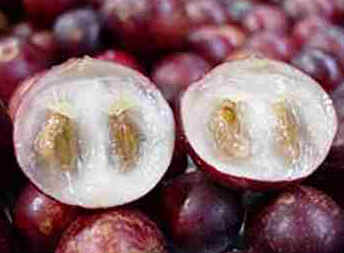 Camu-Camu Camu-Camu