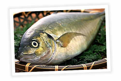 Receitas de Peixes