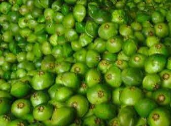 Cambuci