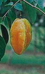 Carambola Carambola