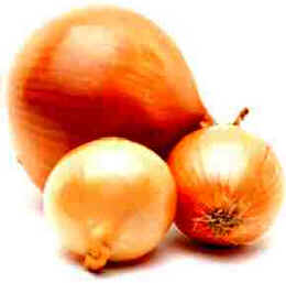 Cebola