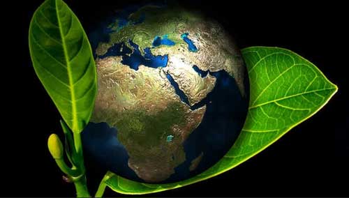 Ecologia