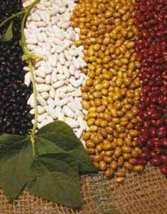 História da Feijoada História da Feijoada
