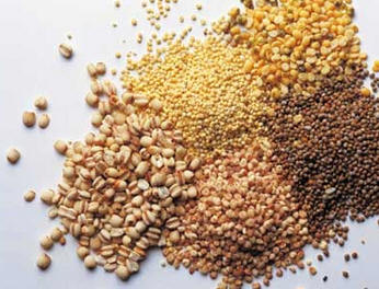 Fibras Alimentares