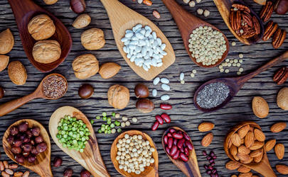 Fibras Alimentares