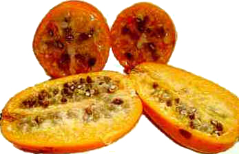 Jaracatiá Jaracatiá