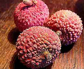 Lichia