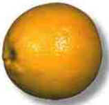 Laranja Laranja