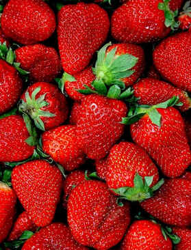 Morango