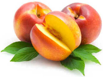 Nectarina Nectarina