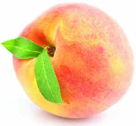Nectarina Nectarina