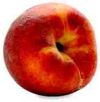 Nectarina Nectarina