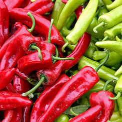 Pimenta Pimenta