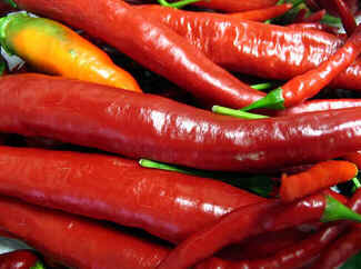 Pimenta Pimenta