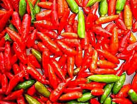 Pimenta Pimenta