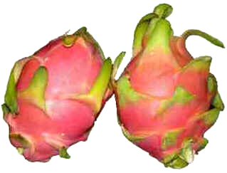 Pitaia Pitaia