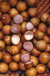 Pitomba