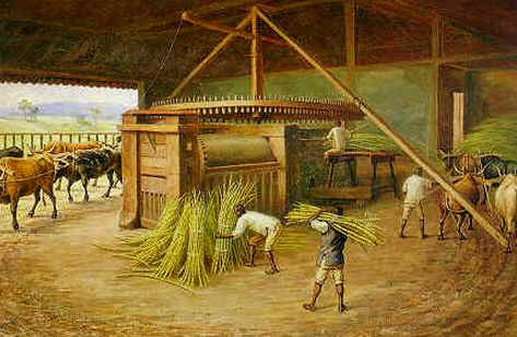 Produção da Cachaça