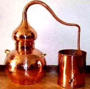 Produção da Cachaça Produção da Cachaça