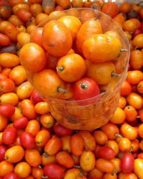 Siriguela