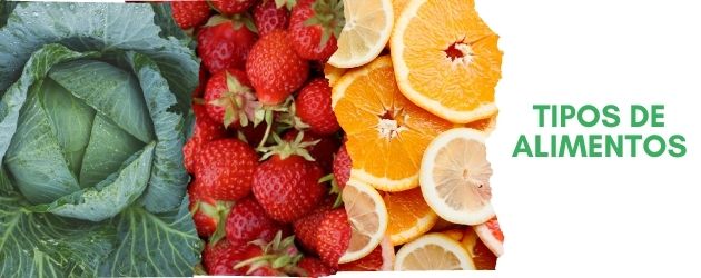 Tipos de Alimentos