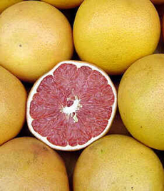 Toranja