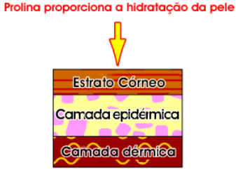 Tipos de Aminoácidos