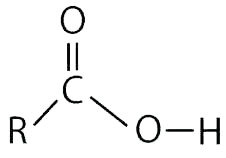 Ácidos Carboxílicos Ácidos Carboxílicos