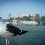 Alcatraz