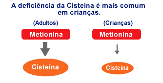 Tipos de Aminoácidos