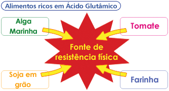 Tipos de Aminoácidos