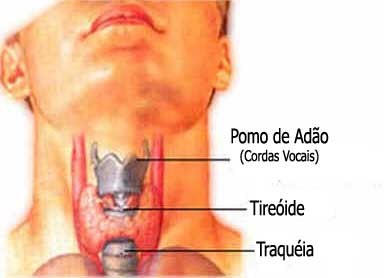 Câncer de Tireóide Câncer de Tireóide