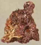 Cobre Cobre