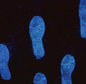 Luminol