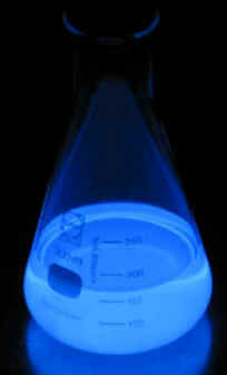 Luminol