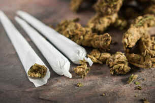 Maconha