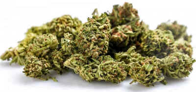 Maconha