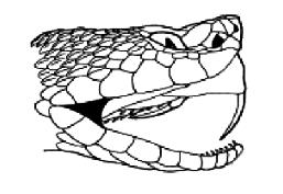 Mandíbula da Cobra