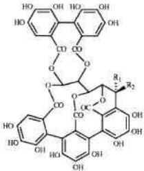 Química do Vinho Química do Vinho