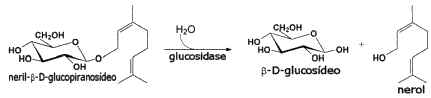 Química do Vinho Química do Vinho