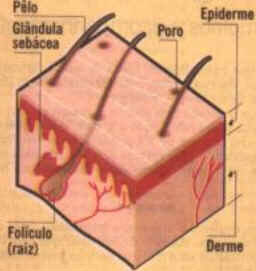 Queimaduras
