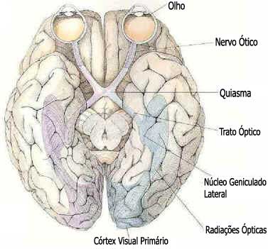Retinopatia